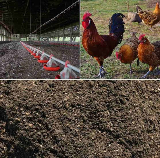 POULTRY MANURE
